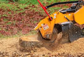 Best Storm Damage Tree Cleanup  in Lla Lla East, WA